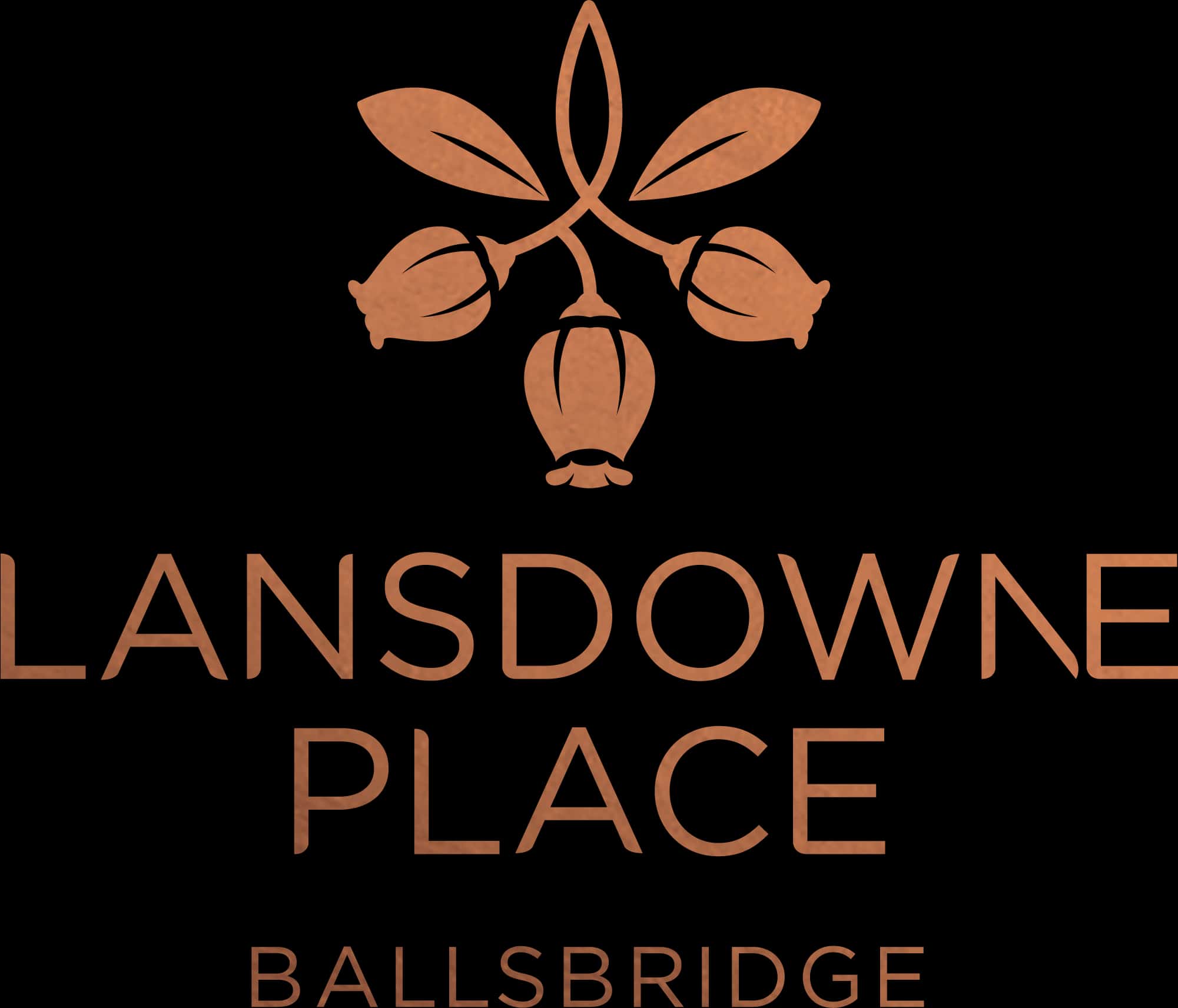 Lansdowne Place Luxury Scheme Launches, Miller Brothers Stone