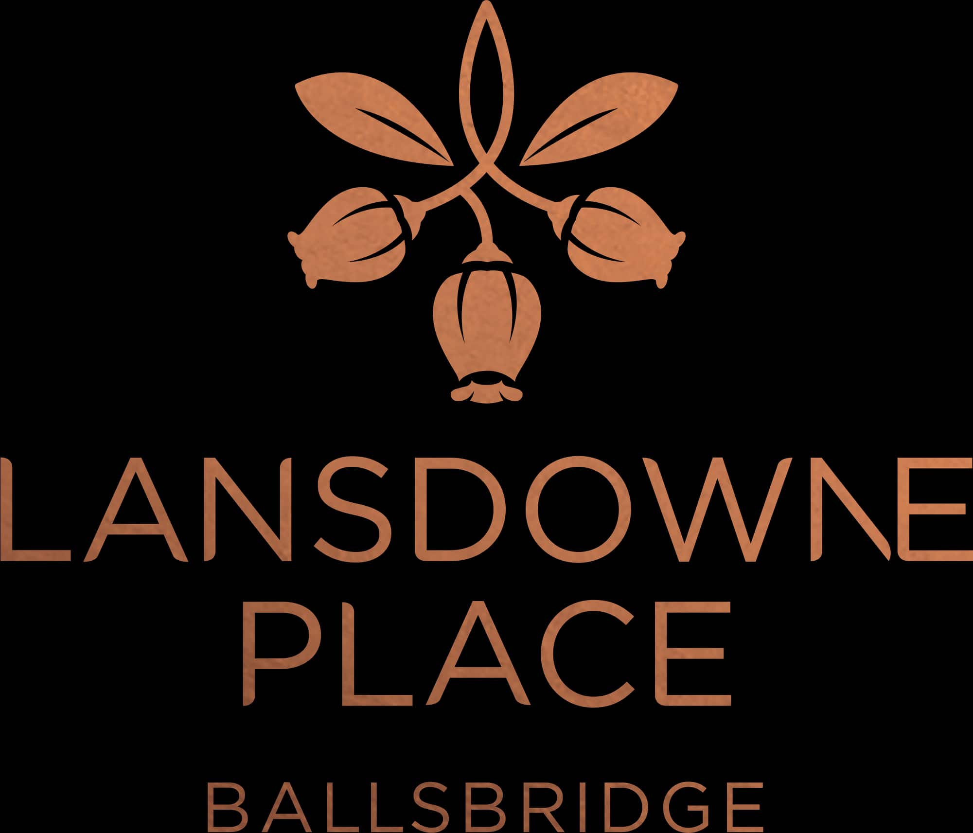 Lansdowne Place Luxury Scheme Launches, Miller Brothers Stone